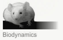 biodynamics