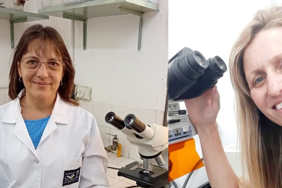 Día de la Mujer y la Niña en la Ciencia