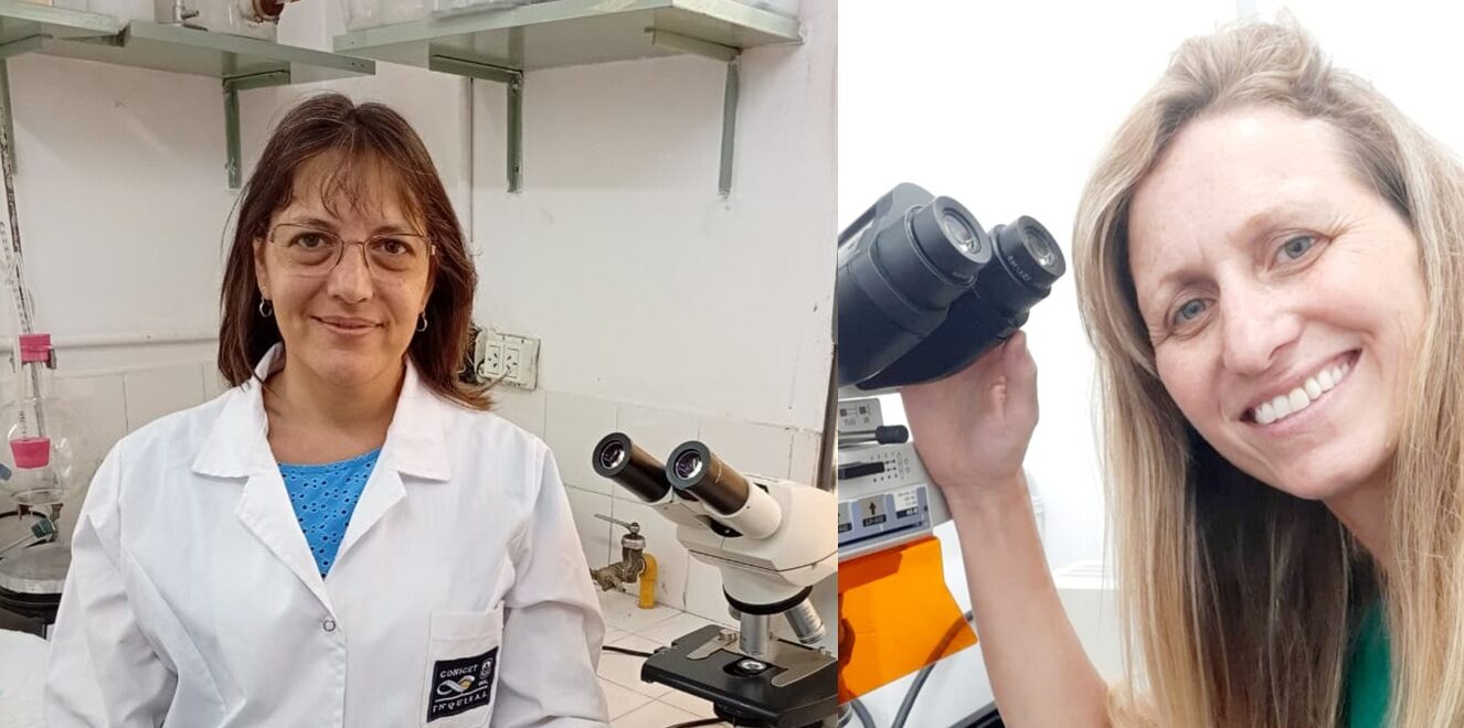 Día de la Mujer y la Niña en la Ciencia