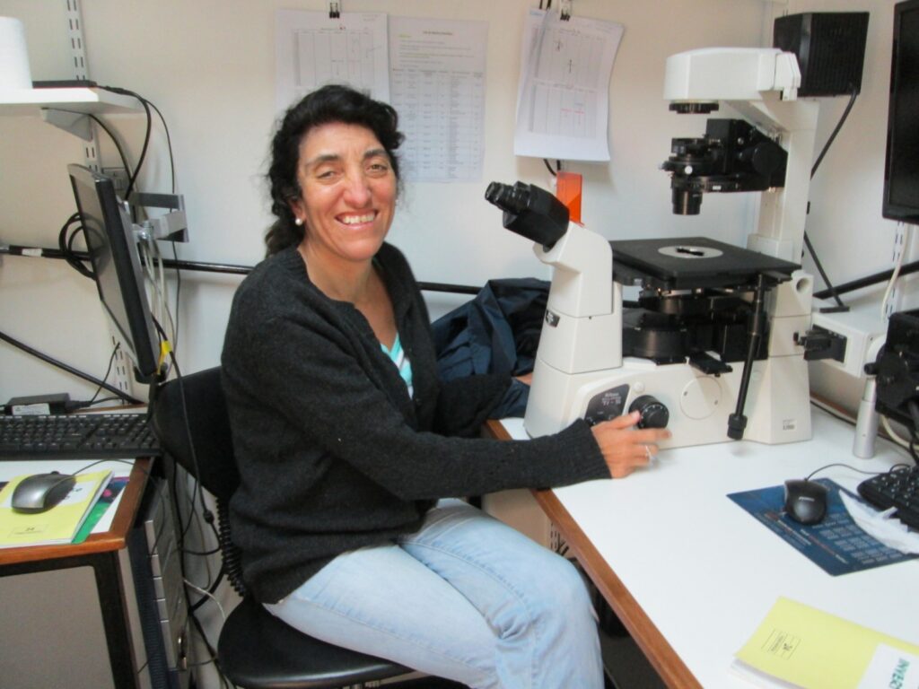 María Karina Herrera Seitz