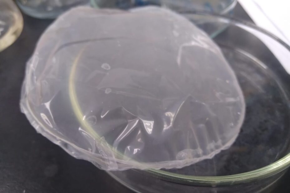 bioplásticos