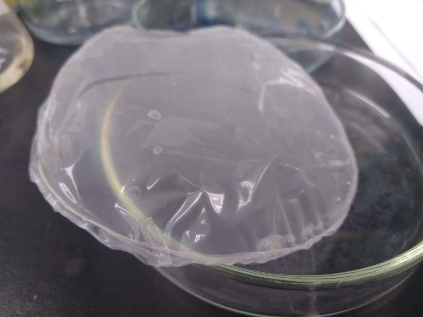 bioplásticos